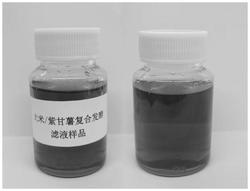 一种用于化妆品的大米紫甘薯复合发酵滤液及其制备方法与应用