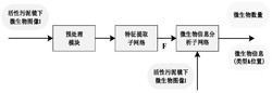 一种活性污泥镜下微生物智能检测方法及系统