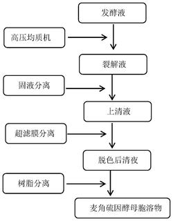 含麦角硫因的酵母发酵胞溶物及其制备方法与应用