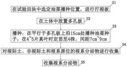 一种油菜根系分泌物田间原位收集方法发明专利
