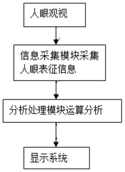 个人显示终端自适应人眼表征变化的显示性能调节方法