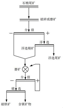 一种石棉尾矿中含镁矿物的富集方法发明专利