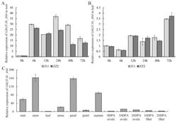 一种棉花GhGT-3b_A04基因、蛋白质、表达载体、转基因植物获取方法和应用