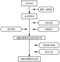 一种硫酸软骨素生物多胺复合物、其制备方法及用途
