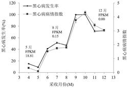 一种菠萝AcRCI2A基因的应用发明专利