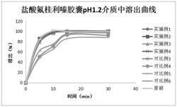 一种盐酸氟桂利嗪胶囊的制备方法发明专利