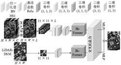 一种基于AGLT网络的高光谱与激光雷达数据融合分类方法