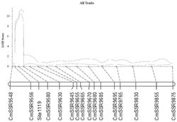 甜瓜分枝性状主效QTLfb3.2紧密连锁的分子标记Site1119及其应用