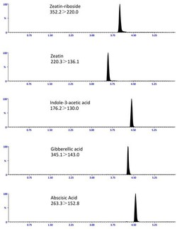 基于QuEChERS法建立的棉花叶片中植物激素的HPLC-MS/MS检测方法
