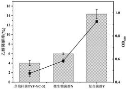 一种芽孢杆菌TYF-YC-32、微生物菌群N、复合菌群Y及其应用注意：申请人在申请日后补交了实验数据，但该数据并未包含在本授权公告文档中。