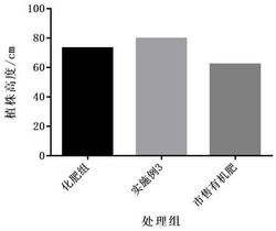 一种活性生物有机肥及其制备方法发明专利