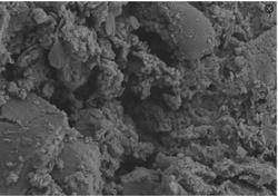 一种污泥基复合生物炭、凝胶球及其制备方法和应用