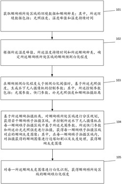 一种水下珊瑚礁白化程度确定方法及系统发明专利
