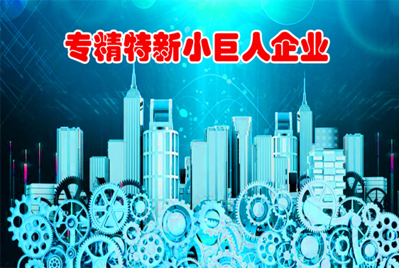 专精特新小巨人企业
