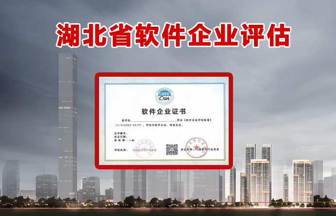湖北省软件企业评估
