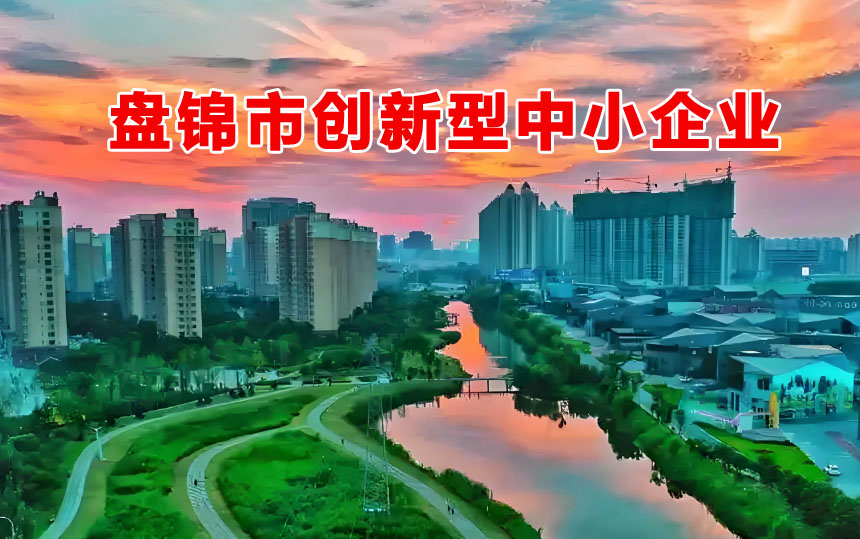 辽宁省创新型中小企业