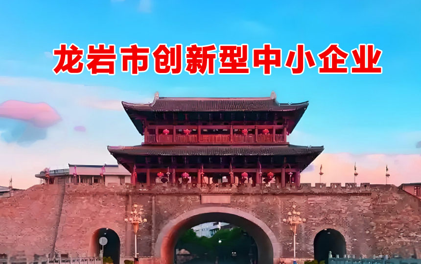 龙岩市创新型中小企业