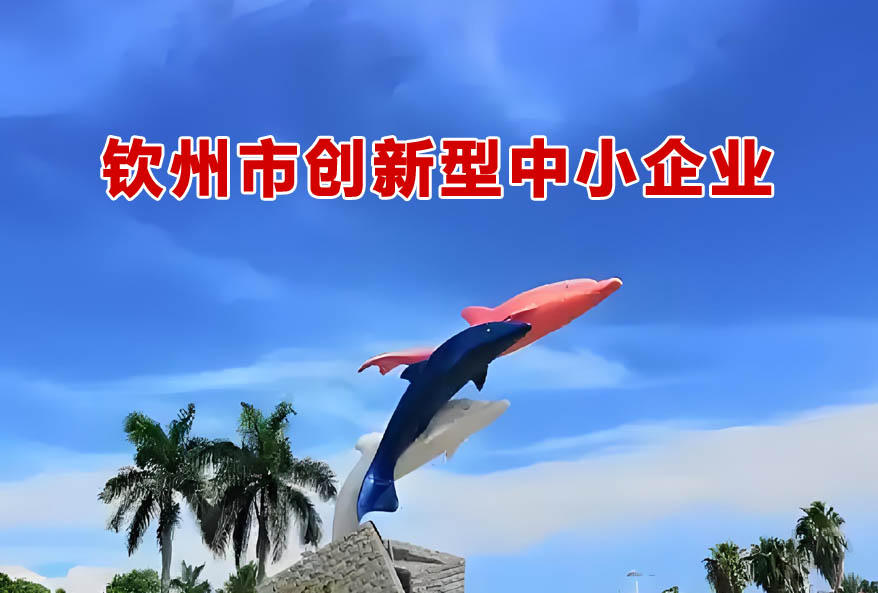 钦州市创新型中小企业
