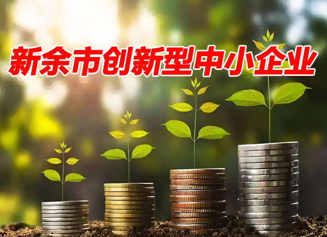新余市创新型中小企业
