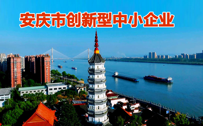安庆市创新型中小企业