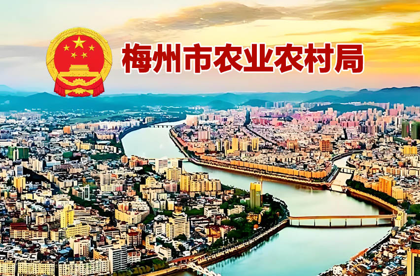 梅州市农业技术人才高级职称评审