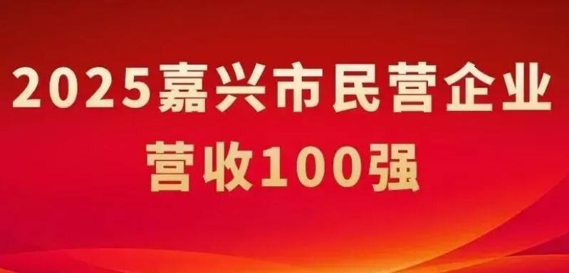 嘉兴市民营企业营收100强