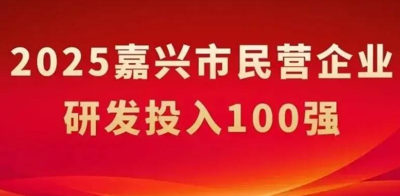 嘉兴市民营企业研发投入100强