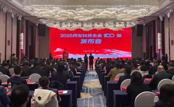西安民营企业100强