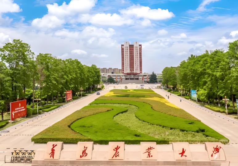 青岛农业大学产学研协同创新