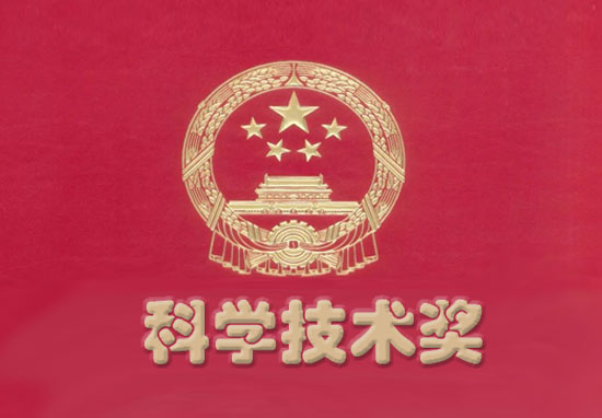 中国力学学会力学奖科技查新报告