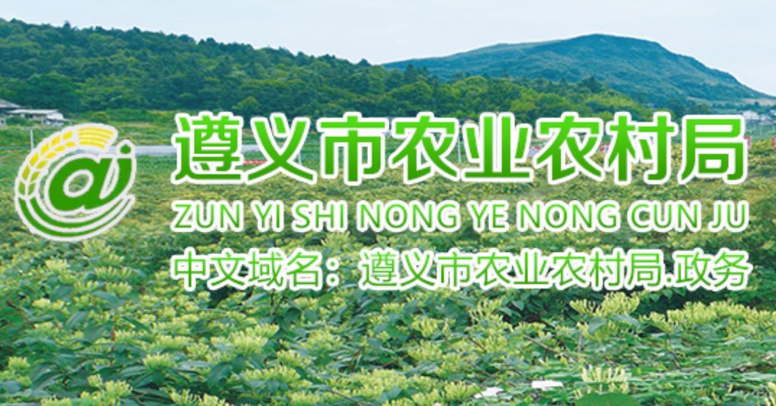 遵义市市级中药材产业发展项目