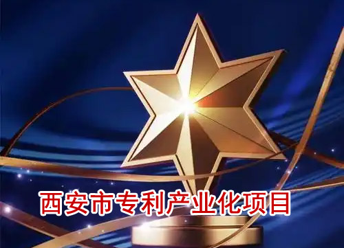 西安市专利产业化项目
