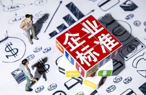 平凉市企业标准备案