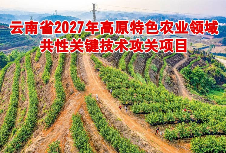 高原特色农业领域共性关键技术攻关