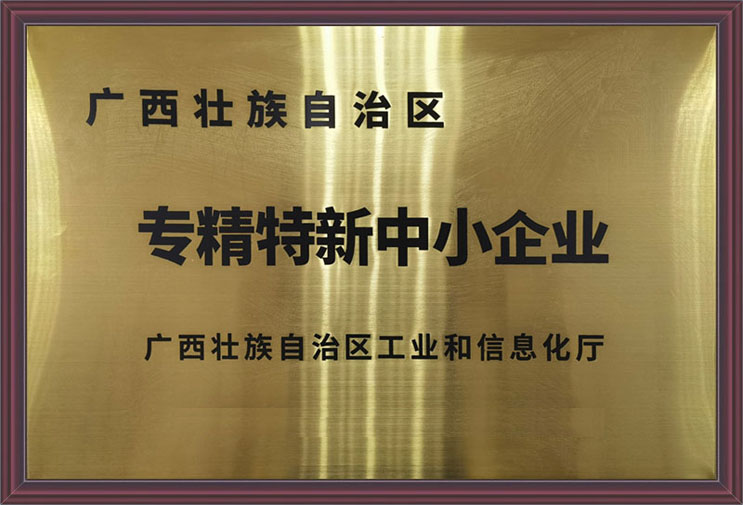 广西壮族自治区专精特新中小企业