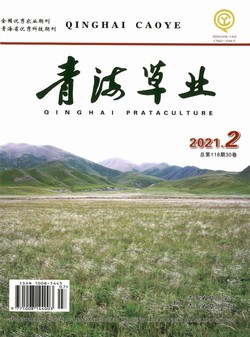 青海草业