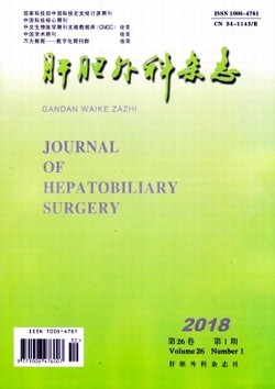 肝胆外科杂志