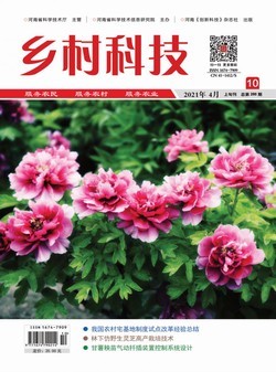 乡村科技