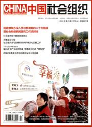 中国社会组织