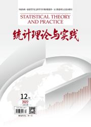 统计理论与实践
