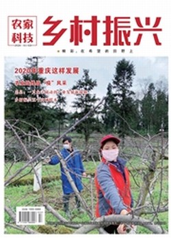 农家科技：乡村振兴