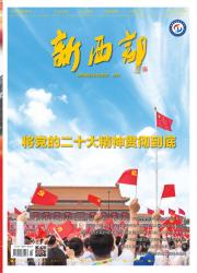 新西部
