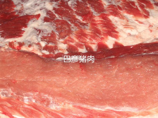 巴彦猪肉