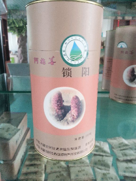 阿拉善锁阳